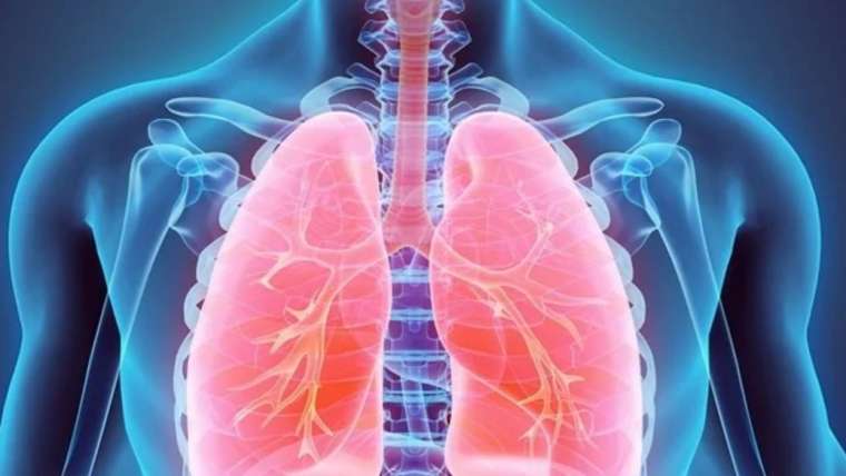 What are the differences between obstructive lung disease, restrictive lung disease, and normal condition?